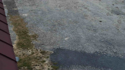 Nástup na běžecké tratě