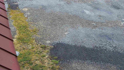 Nástup na běžecké tratě