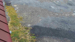 Nástup na běžecké tratě