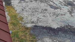 Nástup na běžecké tratě