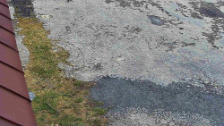 Nástup na běžecké tratě