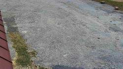 Nástup na běžecké tratě