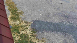 Nástup na běžecké tratě