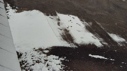 Nástup na běžecké tratě