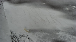 Nástup na běžecké tratě