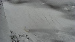 Nástup na běžecké tratě