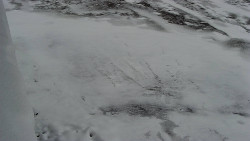 Nástup na běžecké tratě