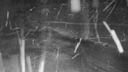 Nástup na běžecké tratě