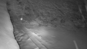 SkiAreál - Horský hotel Vsacký Cáb - Nástup na běžecké tratě - 28.3.2026 v 00:45