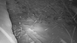 SkiAreál - Horský hotel Vsacký Cáb - Nástup na běžecké tratě - 28.3.2026 v 01:45