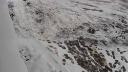 Nástup na běžecké tratě