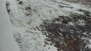 SkiAreál - Horský hotel Vsacký Cáb - Nástup na běžecké tratě - 28.3.2026 v 10:45