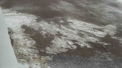 Nástup na běžecké tratě