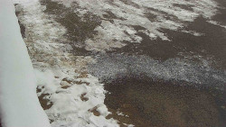 Nástup na běžecké tratě