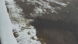 Nástup na běžecké tratě