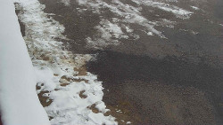 Nástup na běžecké tratě