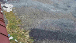 Nástup na běžecké tratě