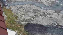 Nástup na běžecké tratě