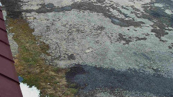 Nástup na běžecké tratě