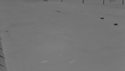 Nástup na běžecké tratě