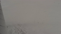 Nástup na běžecké tratě