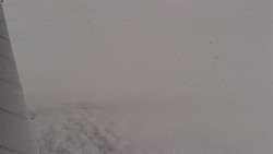 Nástup na běžecké tratě