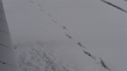 Nástup na běžecké tratě