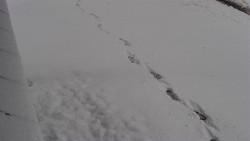 Nástup na běžecké tratě