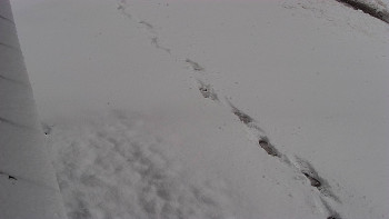 SkiAreál - Horský hotel...