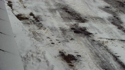 Nástup na běžecké tratě