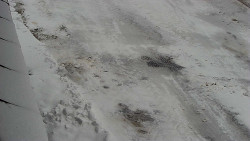 Nástup na běžecké tratě