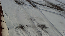 Nástup na běžecké tratě