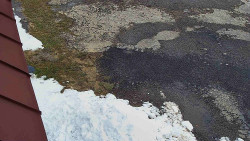 Nástup na běžecké tratě