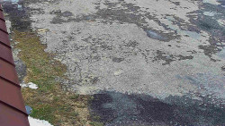 Nástup na běžecké tratě