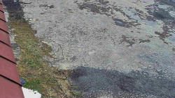 Nástup na běžecké tratě