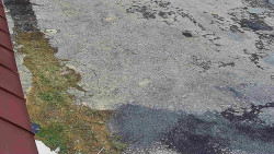 Nástup na běžecké tratě