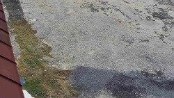 Nástup na běžecké tratě