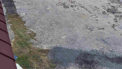 Nástup na běžecké tratě