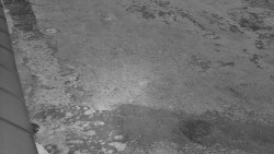 Nástup na běžecké tratě