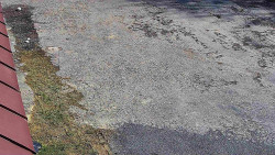 Nástup na běžecké tratě