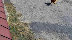 Nástup na běžecké tratě