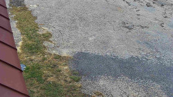 Nástup na běžecké tratě