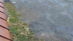 Nástup na běžecké tratě