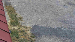 Nástup na běžecké tratě