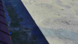 Nástup na běžecké tratě