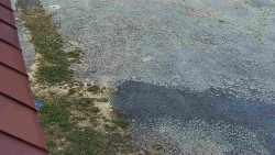 Nástup na běžecké tratě