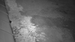 Nástup na běžecké tratě