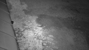 SkiAreál - Horský hotel Vsacký Cáb - Nástup na běžecké tratě - 8.4.2026 v 01:45 SkiAreál - Horský hotel Vsacký Cáb - Nástup na běžecké tratě - 8.4.2026 v 01:45