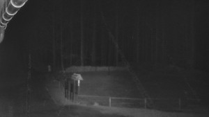 SkiAreál - Horský hotel Vsacký Cáb - Nástup na běžecké tratě - 8.4.2026 v 02:30 SkiAreál - Horský hotel Vsacký Cáb - Nástup na běžecké tratě - 8.4.2026 v 02:30