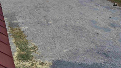 Nástup na běžecké tratě